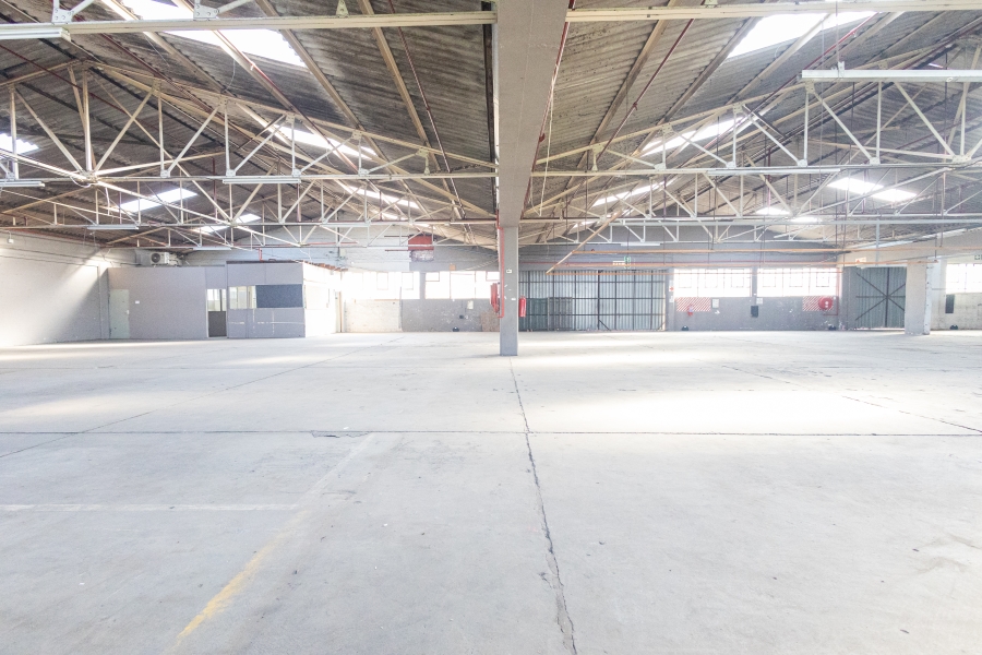 To Let Commercial Property for Rent in Epping Industrial Western Cape